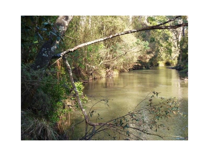 1184 Mole Creek Road, Needles TAS 7304