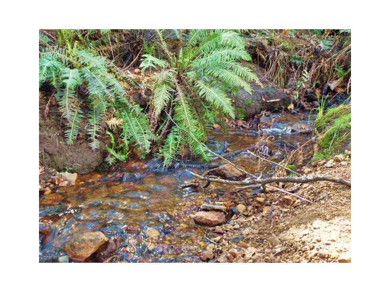 1184 Mole Creek Road, Needles TAS 7304