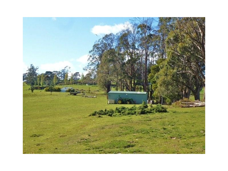 1184 Mole Creek Road, Needles TAS 7304