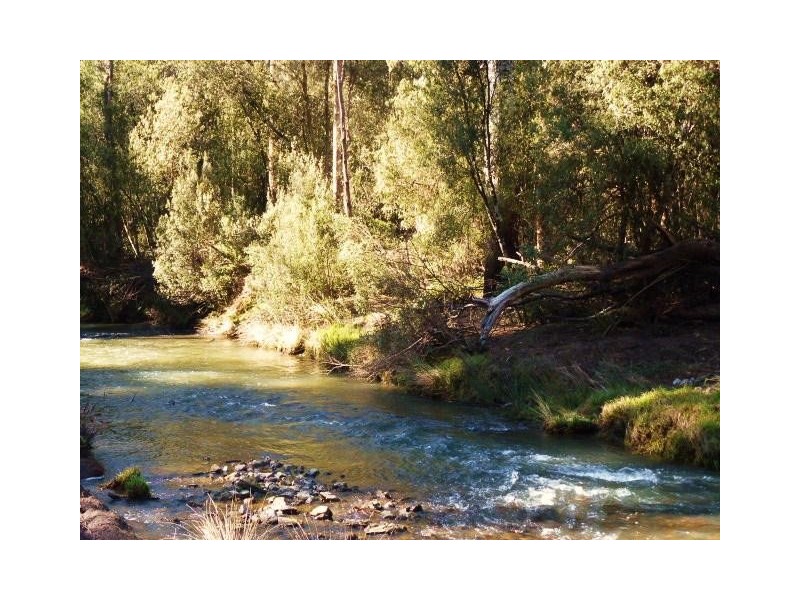 1184 Mole Creek Road, Needles TAS 7304