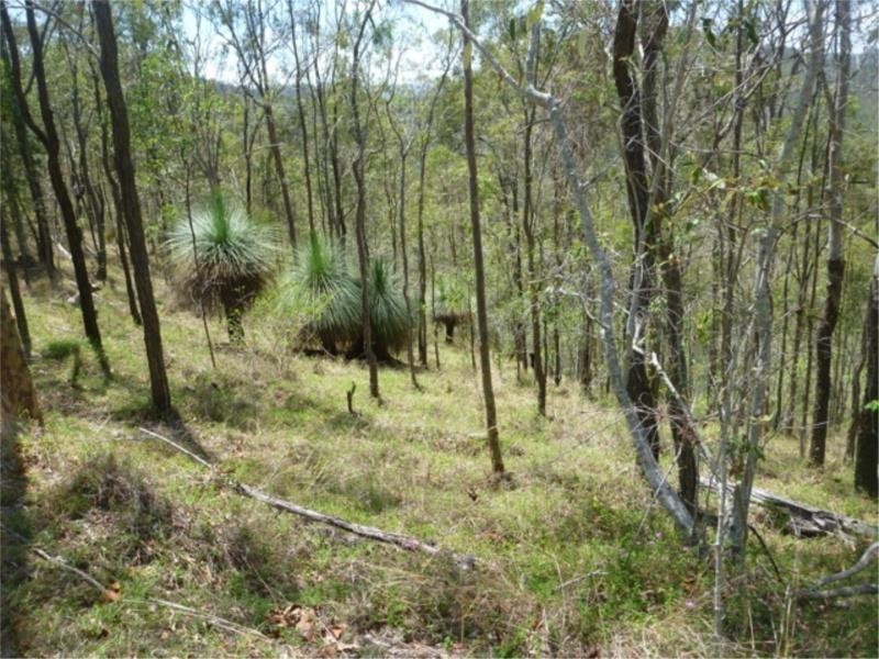 Lot 119 Wivenhoe Somerset Road, Fernvale QLD 4306