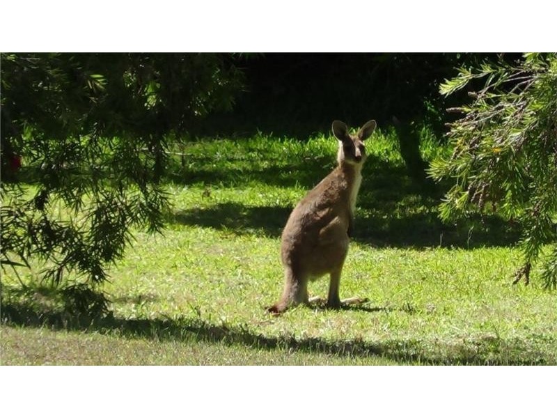 63 Admiralty Ave, Tea Gardens NSW 2324