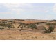 Lot 259 Rosella Rise, Mannum Waters, Mannum SA 5238