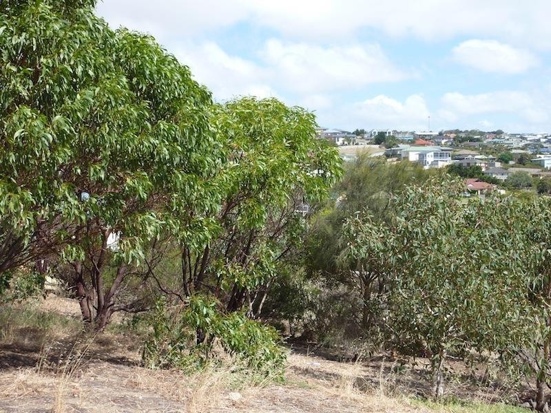 6 Eddy Court, Encounter Bay SA 5211