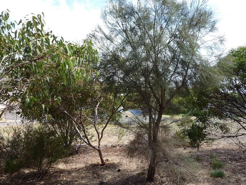 6 Eddy Court, Encounter Bay SA 5211