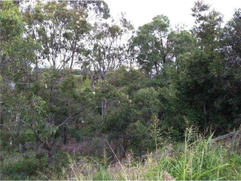 18 Spyglass Place, Oxley QLD 4075