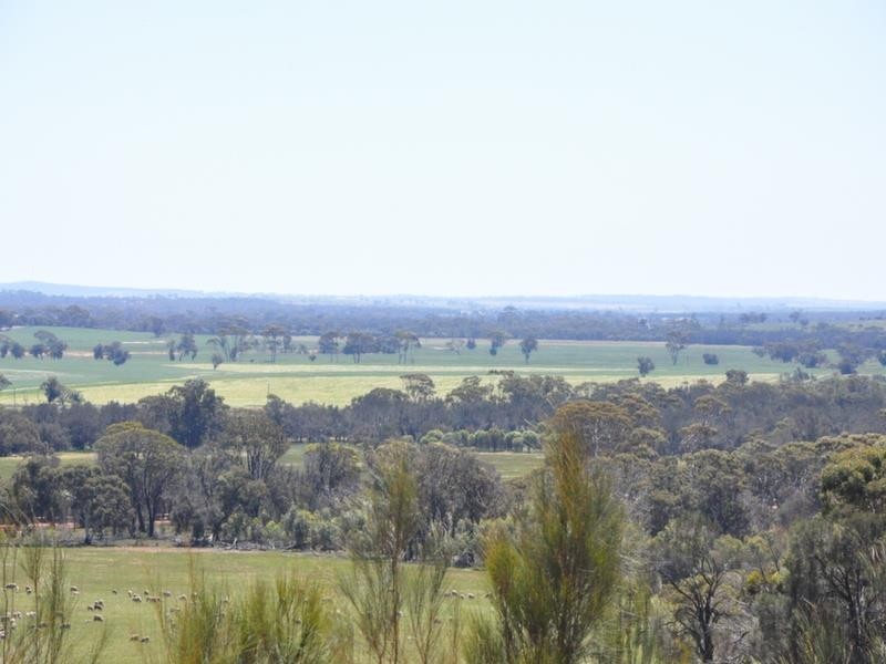 Lot 139 McDonald Road, Woodanilling WA 6316