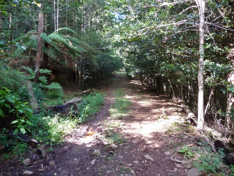 lot 1 Old Jamberoo Road, Robertson NSW 2577