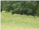 lot 1 Old Jamberoo Road, Robertson NSW 2577