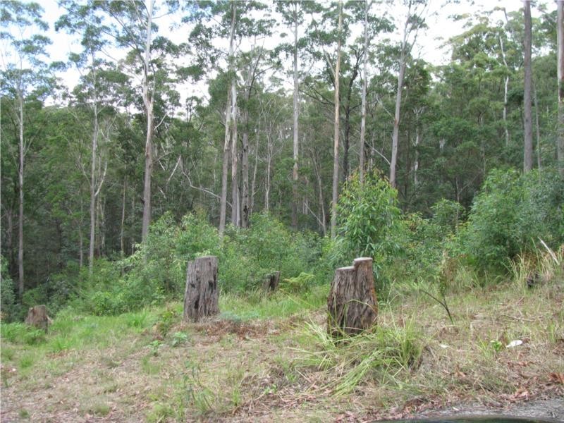 18 Tanaka Avenue, Bonogin QLD 4213