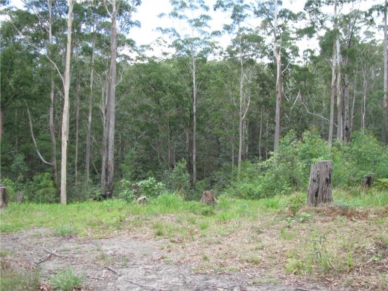 18 Tanaka Avenue, Bonogin QLD 4213