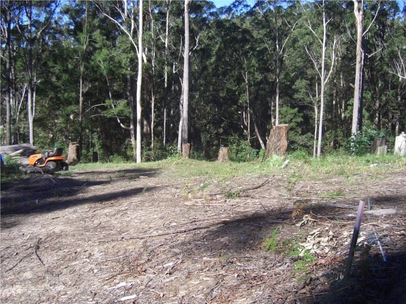 18 Tanaka Avenue, Bonogin QLD 4213