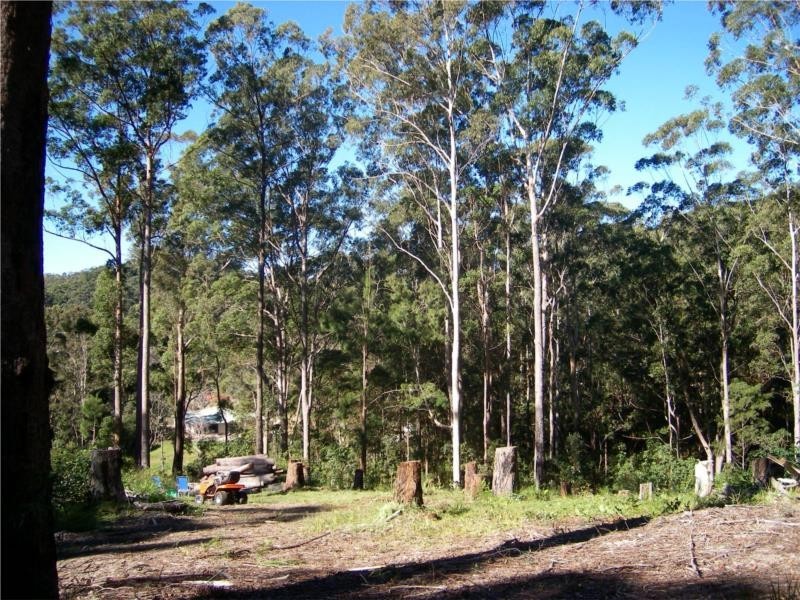 18 Tanaka Avenue, Bonogin QLD 4213