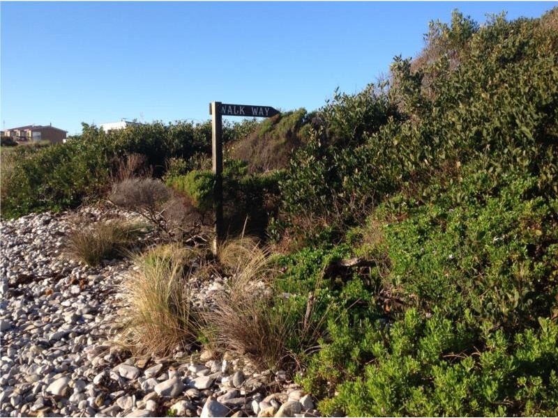 98 Irby Boulevard, Sisters Beach TAS 7321