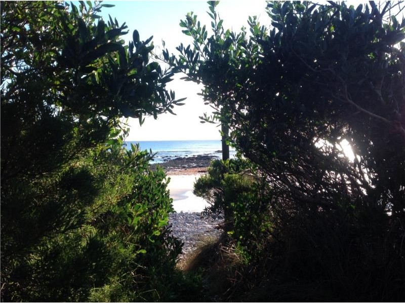 98 Irby Boulevard, Sisters Beach TAS 7321