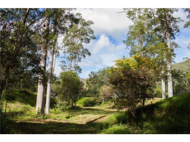 1 Krakatinni Close, Cedar Creek QLD 4520