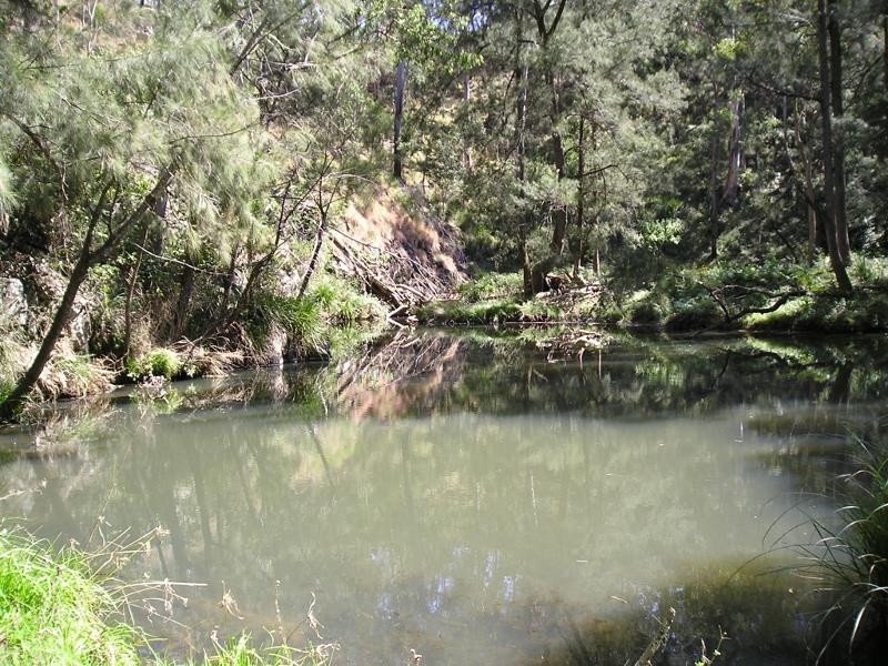 1003 Condamine River Road, Killarney QLD 4373