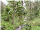 1003 Condamine River Road, Killarney QLD 4373