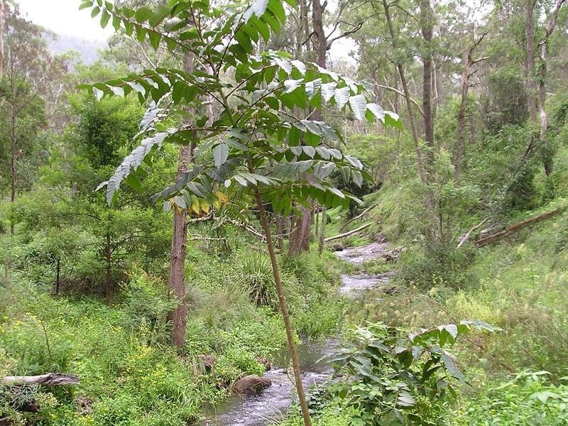 1003 Condamine River Road, Killarney QLD 4373