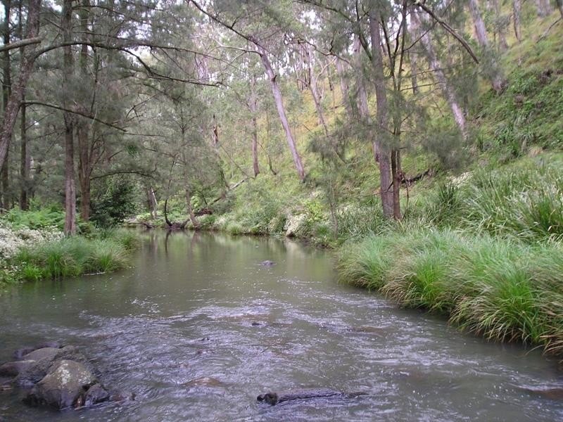 1003 Condamine River Road, Killarney QLD 4373