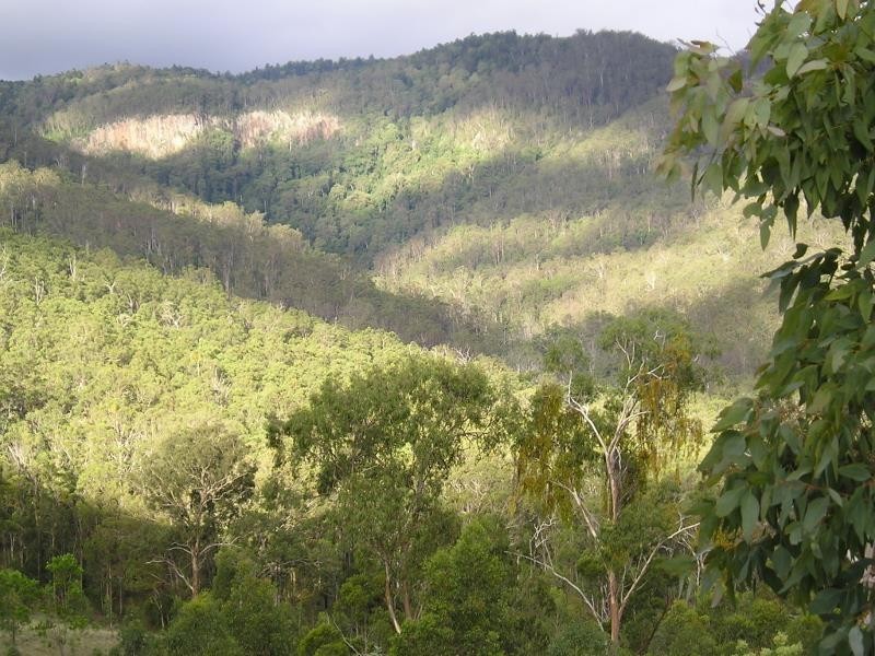 1003 Condamine River Road, Killarney QLD 4373