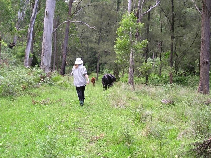 1003 Condamine River Road, Killarney QLD 4373