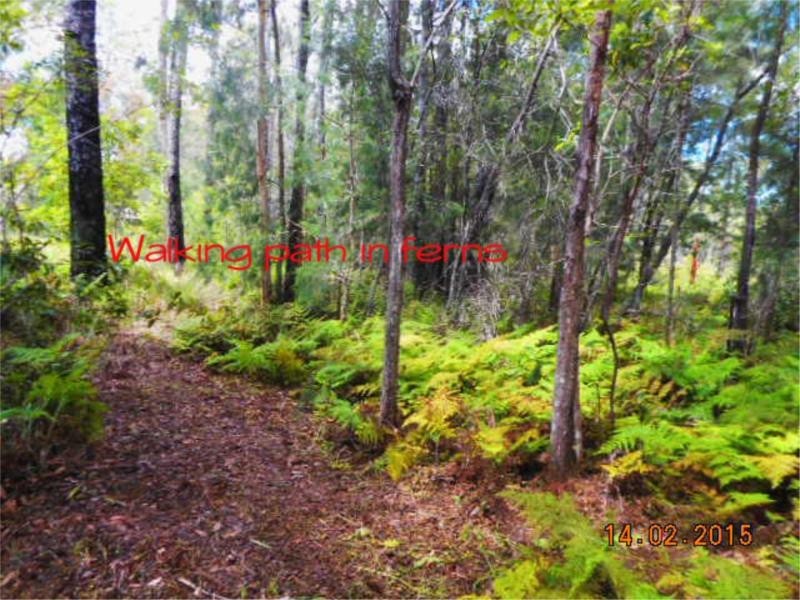 54 Whistlers Lane, Verges Creek NSW 2440