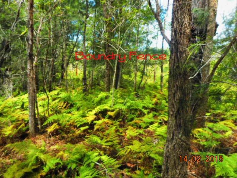 54 Whistlers Lane, Verges Creek NSW 2440