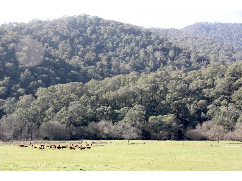 Lots 1-5 Morses Creek Road, Wandiligong VIC 3744