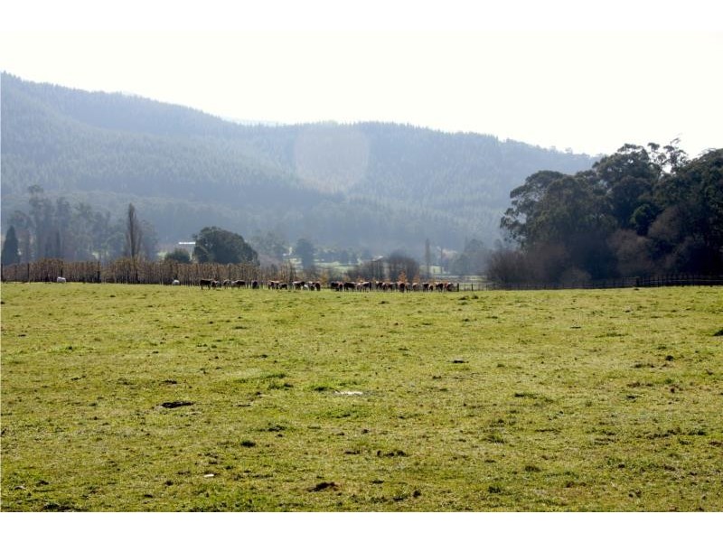 Lots 1-5 Morses Creek Road, Wandiligong VIC 3744