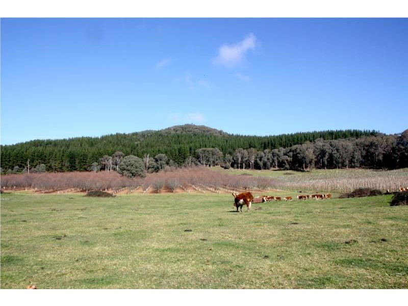 Lots 1-5 Morses Creek Road, Wandiligong VIC 3744