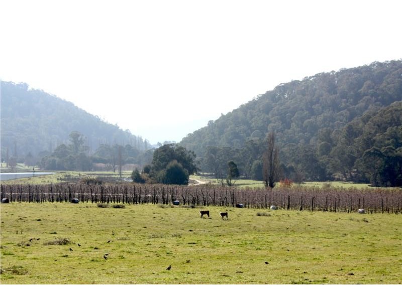 Lots 1-5 Morses Creek Road, Wandiligong VIC 3744