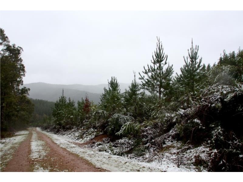 Lots 1-5 Morses Creek Road, Wandiligong VIC 3744