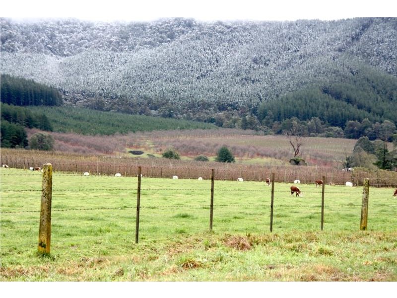 Lots 1-5 Morses Creek Road, Wandiligong VIC 3744