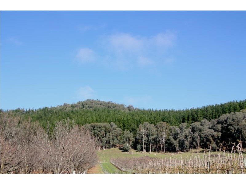 Lots 1-5 Morses Creek Road, Wandiligong VIC 3744