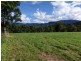 Little Mulgrave QLD 4865
