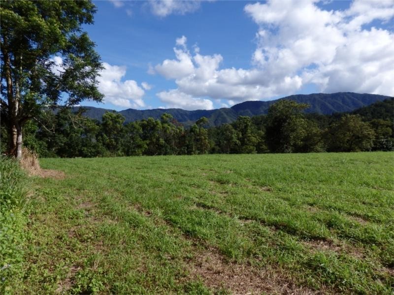 Little Mulgrave QLD 4865