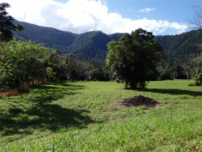 Little Mulgrave QLD 4865