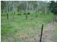 Lot 19 Windemere Drive, Strathdickie QLD 4800
