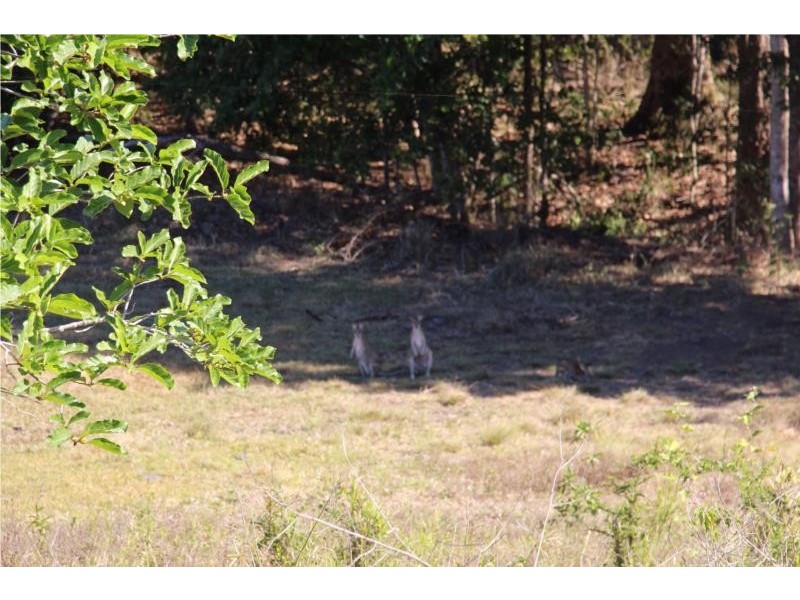 70 Gillies Road, Strathdickie QLD 4800