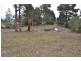 9 Potters Road, Woodbridge TAS 7162