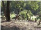 15 Studmaster View, Bullsbrook WA 6084