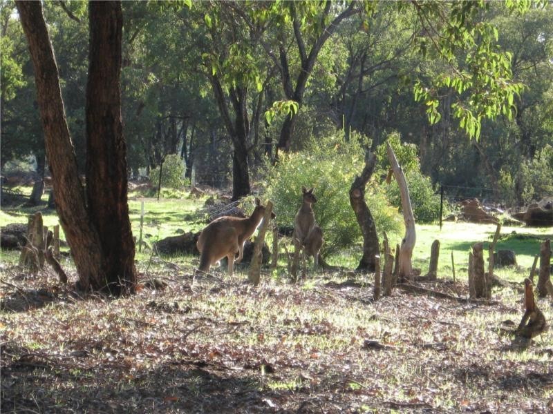15 Studmaster View, Bullsbrook WA 6084