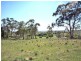 395 Grafton Street, Glen Innes NSW 2370