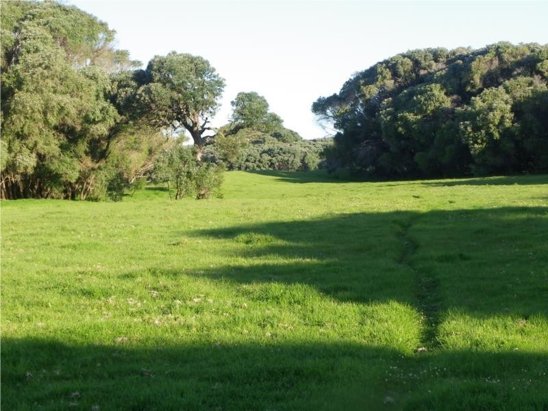 Scott River East WA 6275