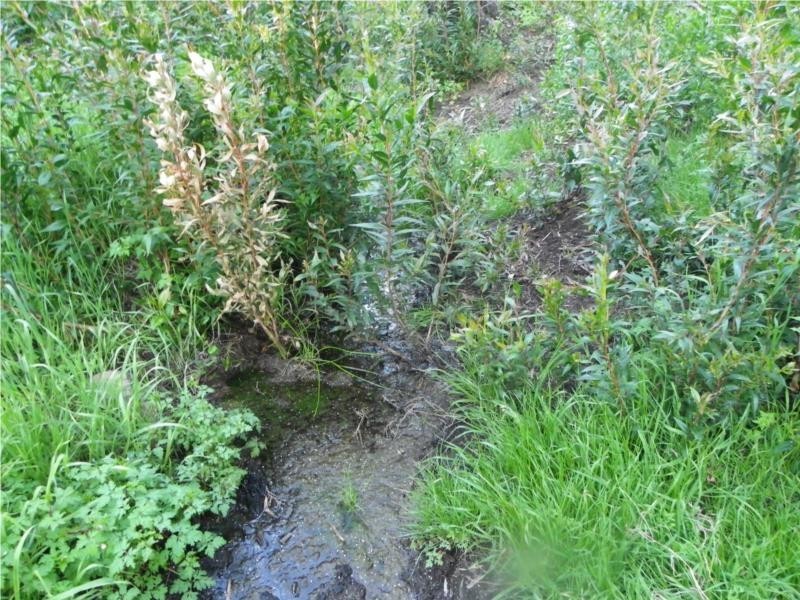 Scott River East WA 6275