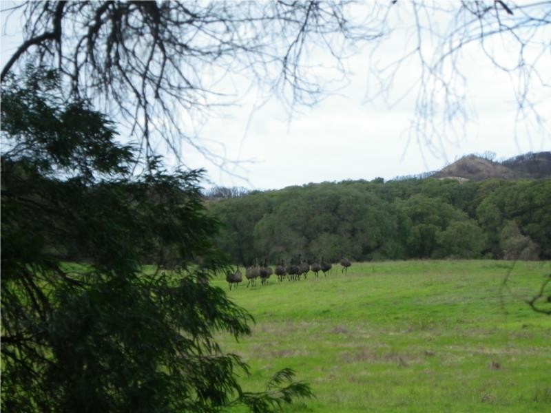 Scott River East WA 6275