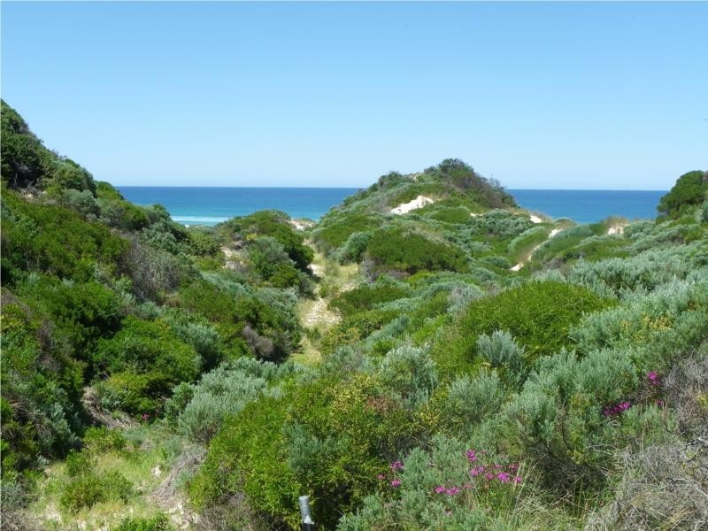 Scott River East WA 6275