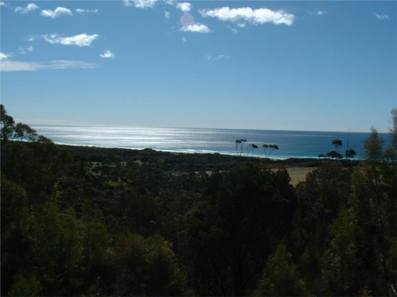 19 Rosedale Road, Bicheno TAS 7215