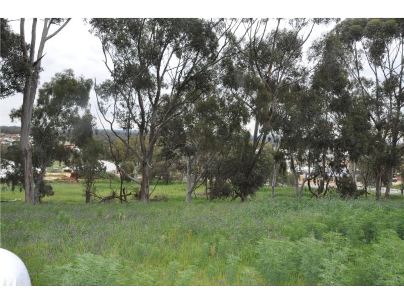 6 Tarlo Bend, Jane Brook WA 6056